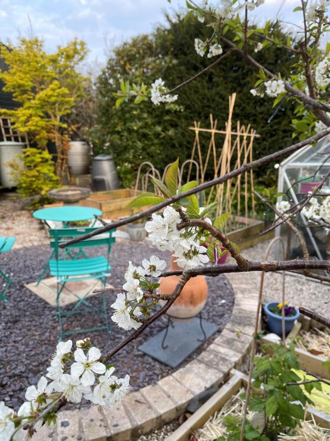 Appartamento Little Haven Dartmouth Esterno foto